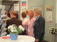 Stelljes Team Stelljes Team